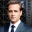 Harvey Specter