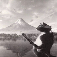 samuraiin29