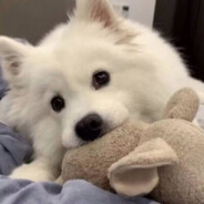 姐姐别误会我和姐夫