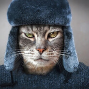 ))) Steam avatar