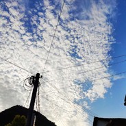 盗号王张维勇15119070646