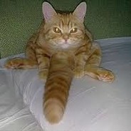 xd - steam id 76561198900465494