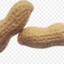 peenut