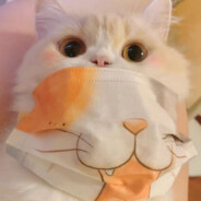 我们也曾有很多话