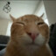 SlimyLimeGaming