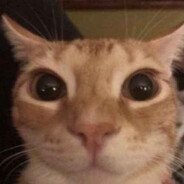 cookecat