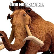 ЛОХ НЕ МАМОНТ