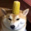 CORN