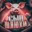 Саня Головкин