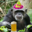 Beer_Monkey