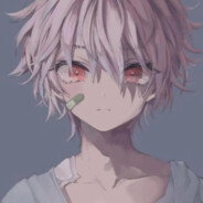 我见过最美的星星✨