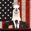 prezbarackollama