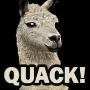 Quack? Quack!