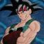 [HLNS]Bardock®