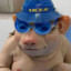 JUTIPUMPPU