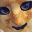 Avatar of lagamemnon