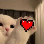 papuga