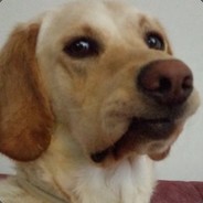Jeppe - steam id 76561197968130801