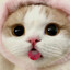 meow