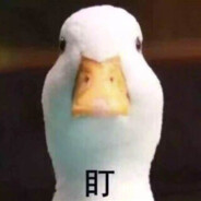 我知道你很急但你先别急