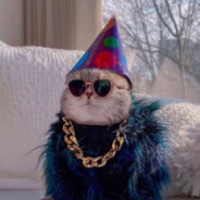 【SVIP】憨豆老爹