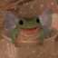 Jillyfrog