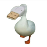 卡尔西法