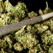 ✓ no soy chiter ✓