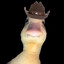 JJSteeples7
