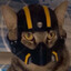 Cat, the cat
