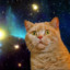 AstroCat