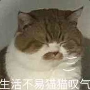 生活不易猫猫叹气