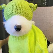 懒大王随机赢对