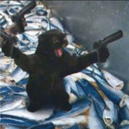 绝世小猫 喵大黑