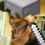 Lcs_Gomes