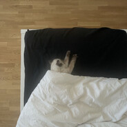 yullo