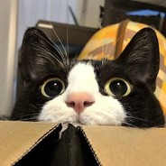 好想吃扭扭薯条