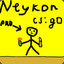 ム Neykon