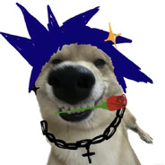 𝙠𝙞𝙩𝙩𝙮念