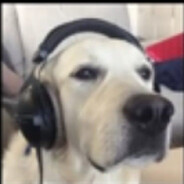 Lz