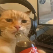 teccie-noinology professor