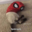 CHICO SAD