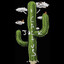 ATL CACTUS