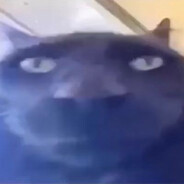 Avatar of Not Goopey