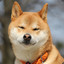 Hachi-ko