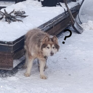 香烟傀儡师王源