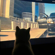 是handsomer还是haner