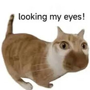Look in my eyes! Why?!