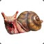 MadSnail