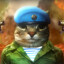 NIKITANDR